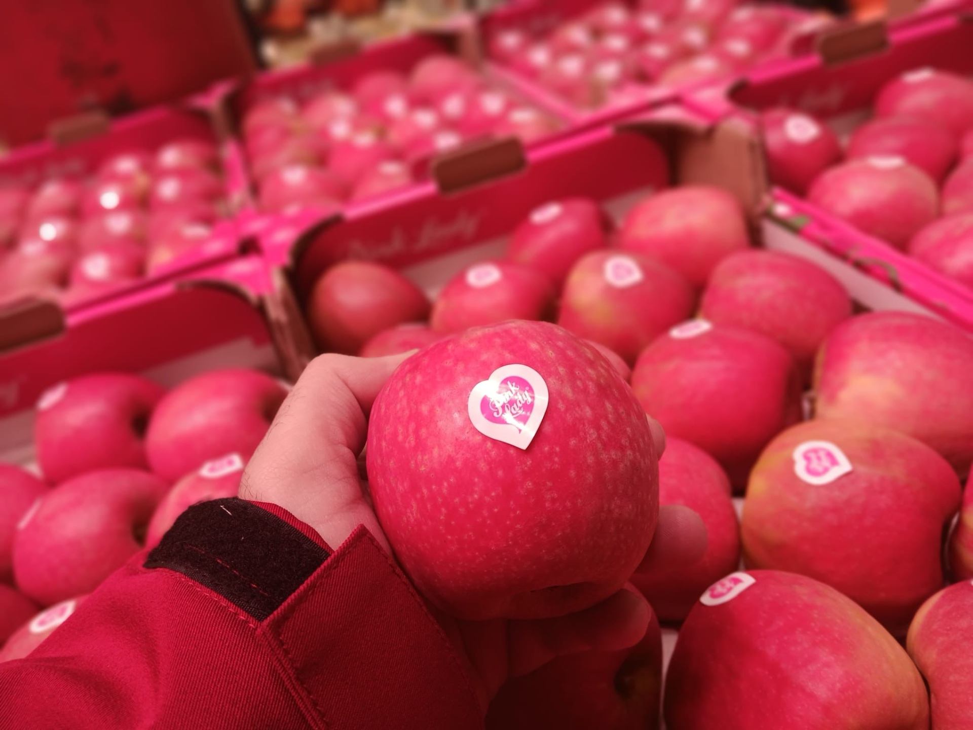 Manzana Pink Lady recién seleccionada en el puesto de Surfrutas SLU en Mercalaspalmas