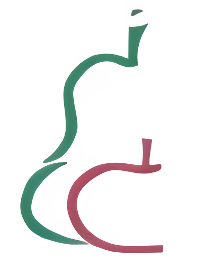 Surfrutas SLU